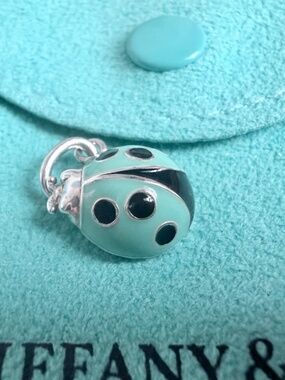 Tiffany & Co.  Blue Black Enamel Lady Bug in Silver